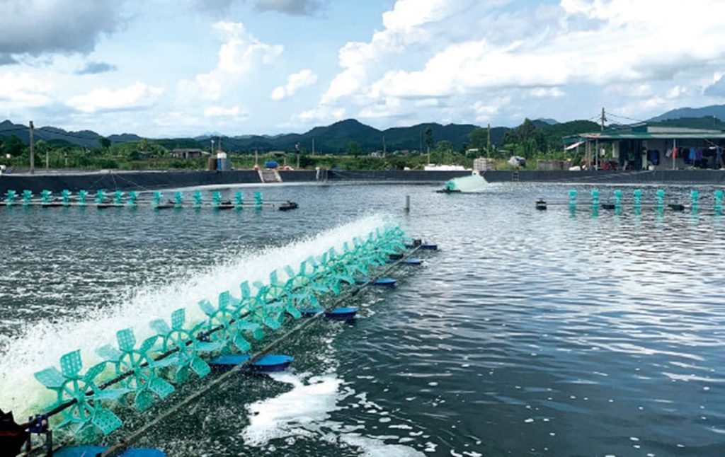 Lý do sử dụng máy guồng cánh quạt nước tạo oxy khi nuôi cá